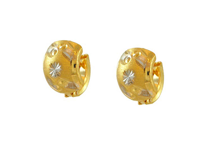 Two Tone Plated | Fashion Earrings